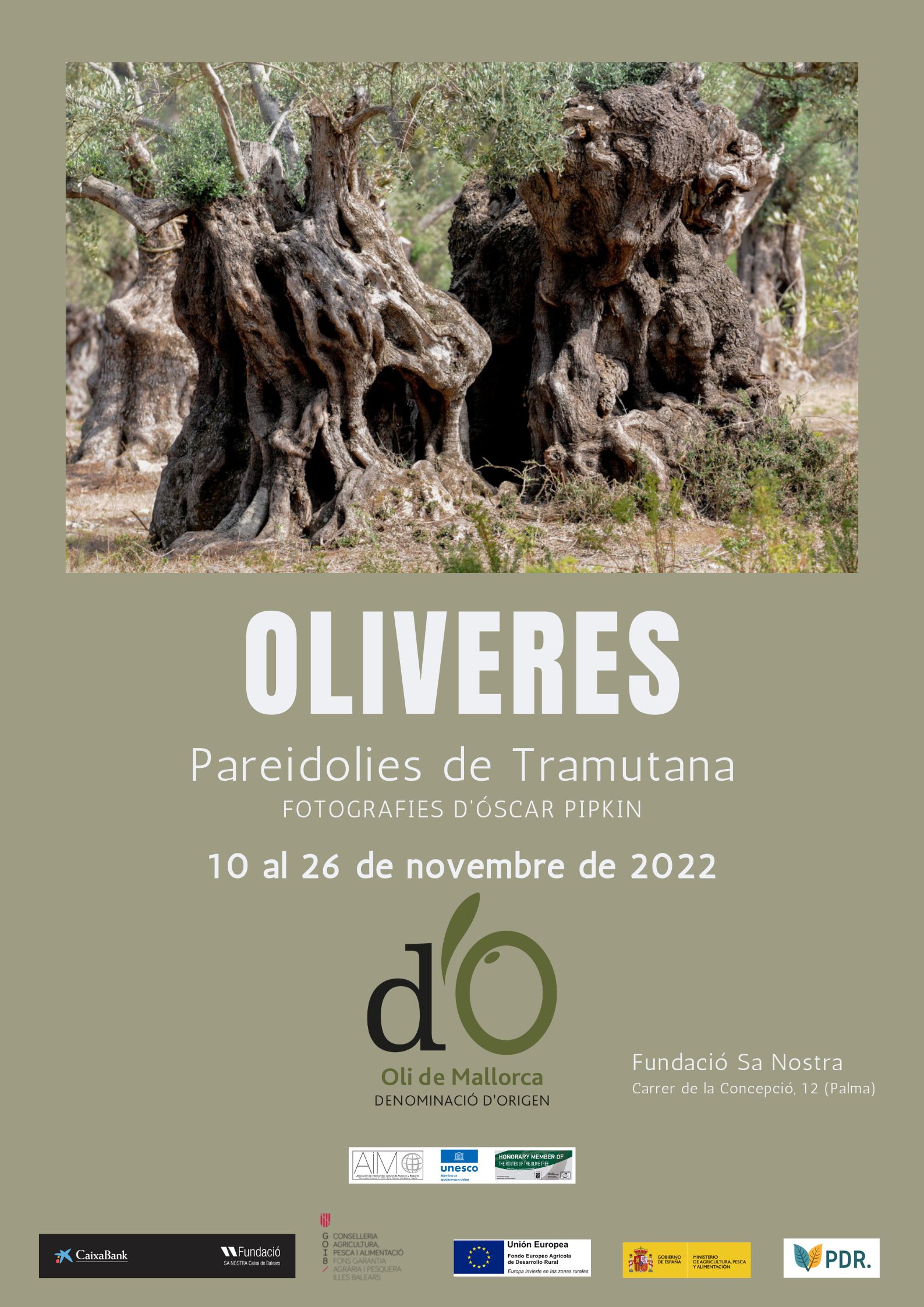 Oli de Mallorca presenta "Oliveres. Pareidolies de Tramuntana" de Óscar Pipkin - Notícies - Illes Balears - Productes agroalimentaris, denominacions d'origen i gastronomia balear
